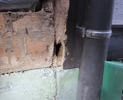 木造シロアリ被害にあった柱